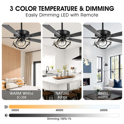Ventilateur de plafond LED moderne d'intérieur chromé/noir à intensité variable avec lumière et télécommande