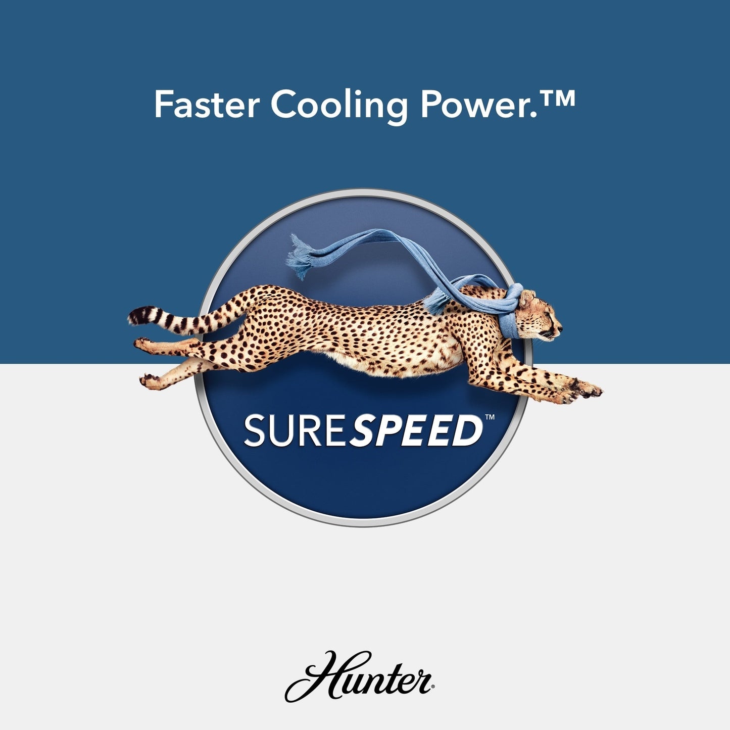 Ventilateur de plafond intérieur/extérieur Hunter 52 Shorebreak WeatherMax avec commande murale - Résistant aux intempéries, au sel et à la corrosion