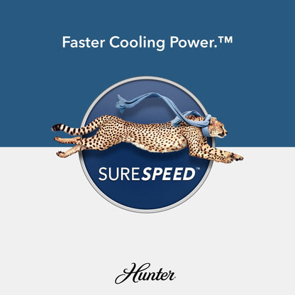 Ventilateur de plafond intérieur/extérieur Hunter 52 Shorebreak WeatherMax avec commande murale - Résistant aux intempéries, au sel et à la corrosion